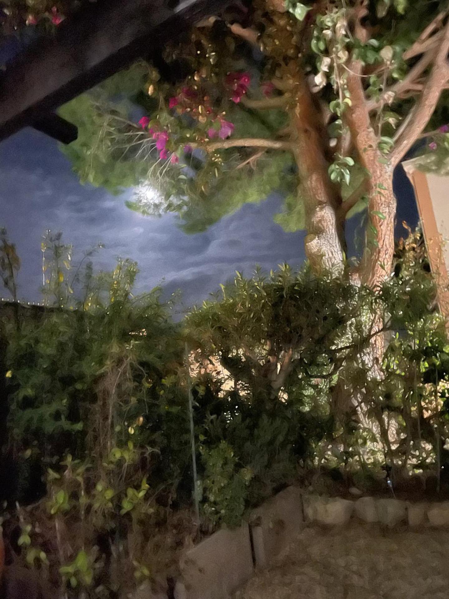 Appartement T1 Avec Jardin Bandol Exteriör bild